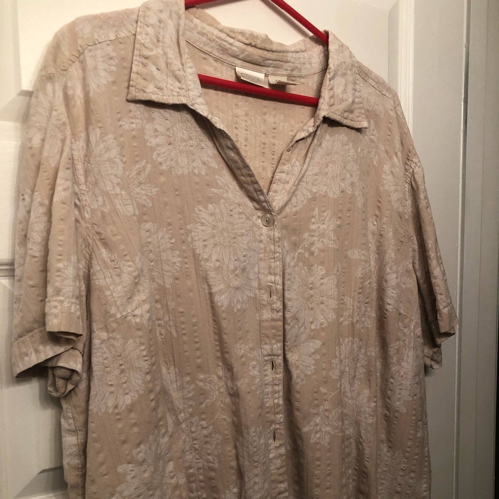 Short sleeve button down